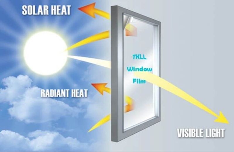 mẫu nhà kính sân vườn đẹp